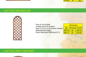 LATTICE 2